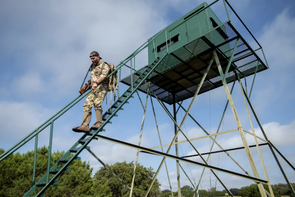 Texas Hunting Seasons Guide: What You Can Still Hunt in the Summer and What’s Coming in Fall