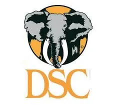 DSC | Logo