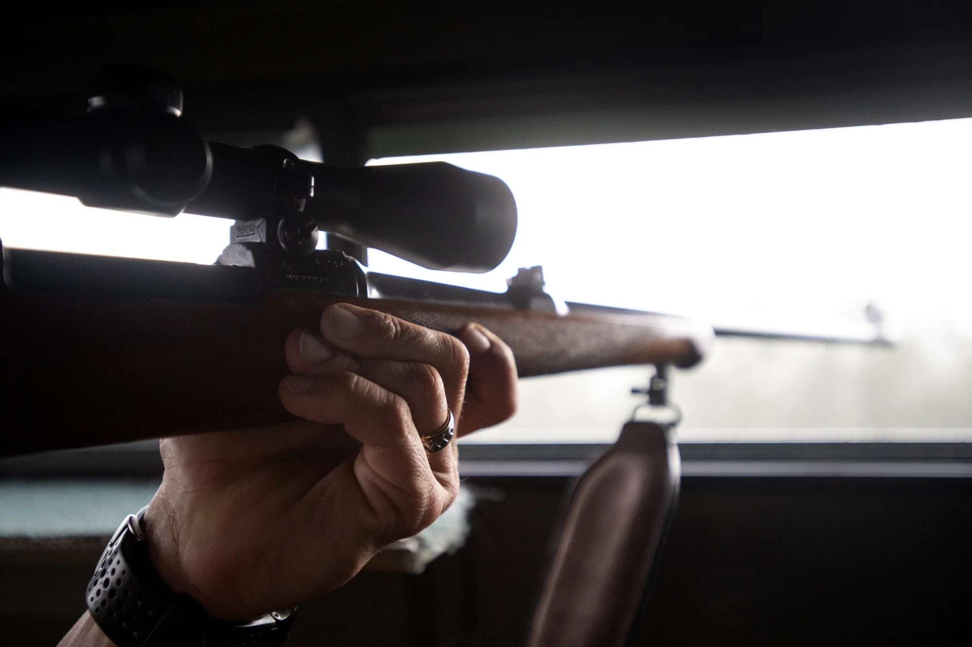 Best Caliber for Axis Deer Hunting in Texas _ Cen-Tex Marketing