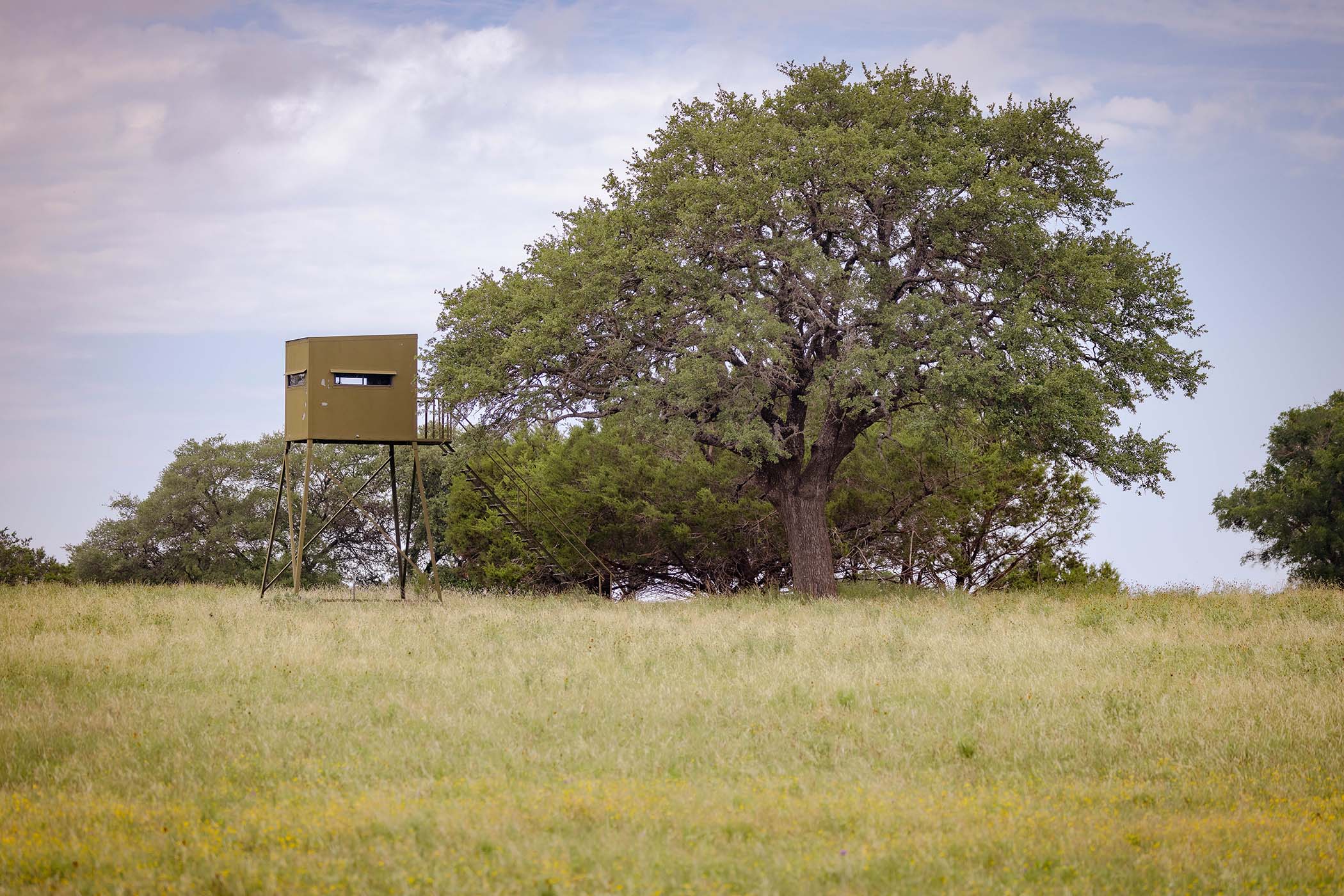 Rifle Sighting Guide- How to Zero Your Scope Before Opening Day _ Cen-Tex Marketing